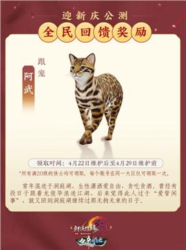 天龙八部私服人头